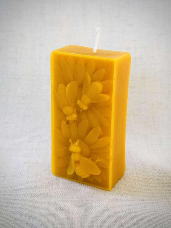 WhatsApp Image 2026-03-04 at 15.15.46 (1)