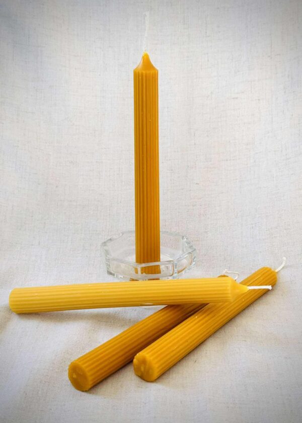 WhatsApp Image 2026-03-04 at 15.15.47