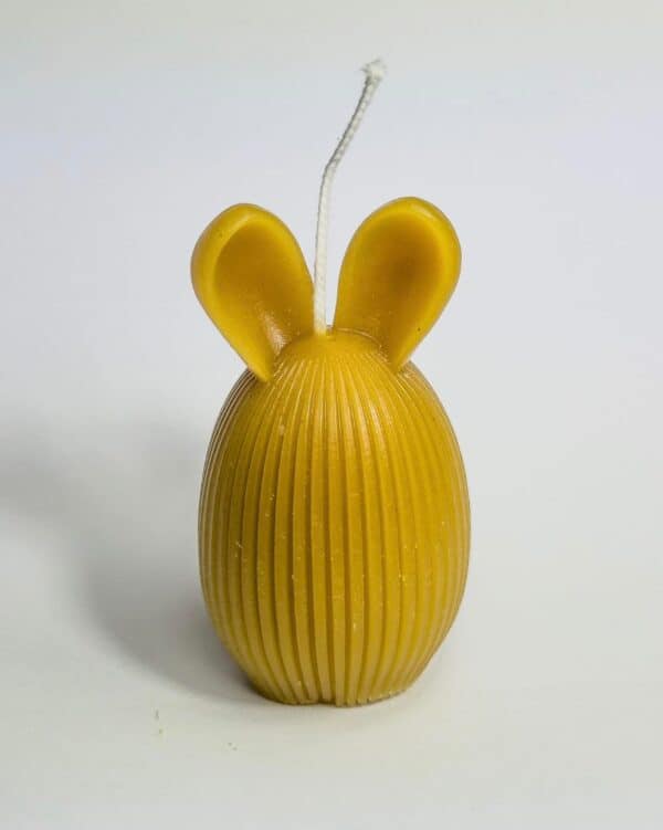 WhatsApp Image 2026-03-04 at 15.17.30 (5)